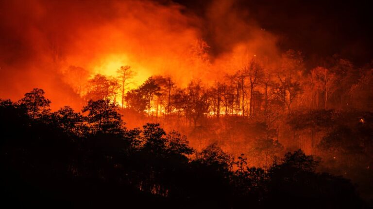 Wildfire Crisis: New Mexico Under Siege